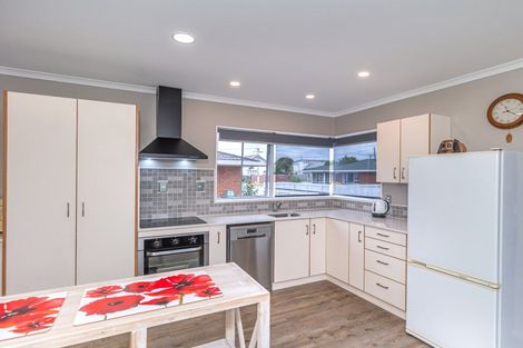 Photo of property in 25b Trafalgar Street, Levin, 5510