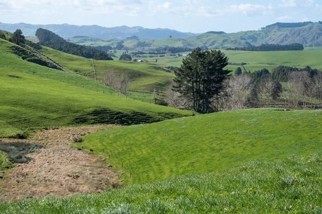 Photo of property in 697 Maungatawhiri Road, Raglan, 3295