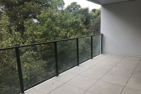 Photo of property in 306/8 Kingsland Terrace, Kingsland, Auckland, 1021