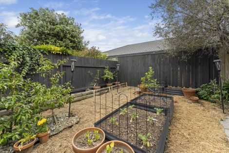 Photo of property in 15 Rainforth Street, Roslyn, Palmerston North, 4414