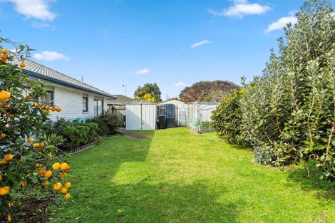 Photo of property in 170 Gloucester Road, Mount Maunganui, 3116