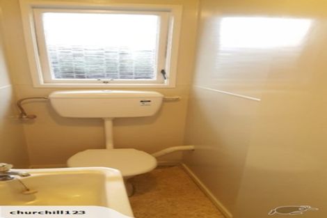 Photo of property in 133 Fitzroy Avenue, Fitzroy, Hamilton, 3206