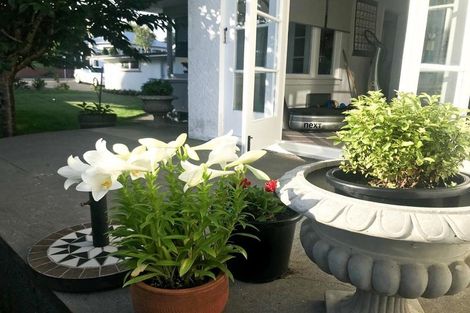 Photo of property in 208 Tukapa Street, Westown, New Plymouth, 4310