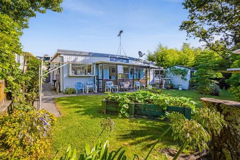 Photo of property in 113 Lemon Street, New Plymouth, 4312