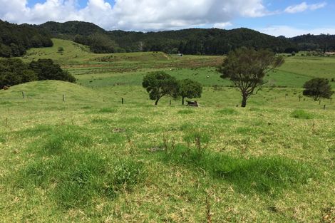 Photo of property in 23 Dip Road, Kaeo, 0479