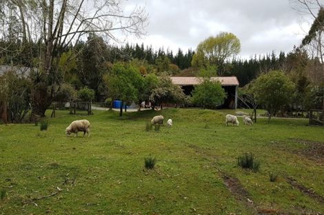 Photo of property in 5 Camp Street, Kaniere, Hokitika, 7811