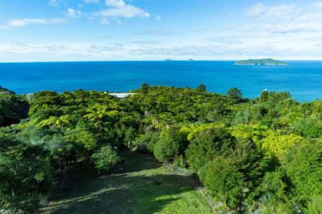 Photo of property in 180 Pumpkin Hill Road, Pumpkin Hill, Whitianga, 3591