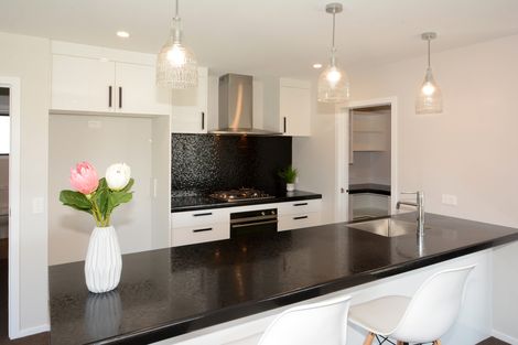 Photo of property in 43 Awa Toru Drive, Fairfield, Dunedin, 9018