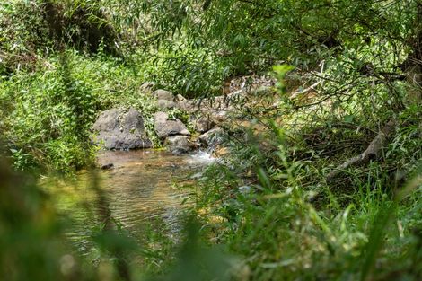 Photo of property in 1222 Te Aroha-gordon Road, Manawaru, Te Aroha, 3391