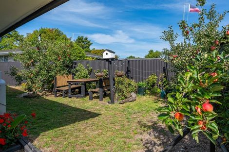 Photo of property in 173 Flaxmere Avenue, Flaxmere, Hastings, 4120