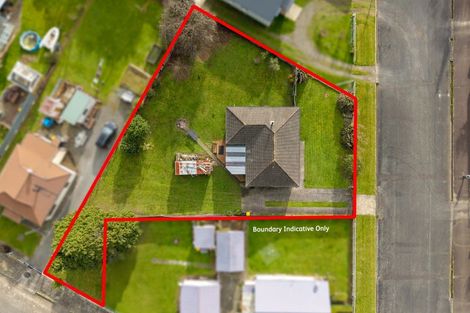 Photo of property in 10 Christian Street, Dannevirke, 4930
