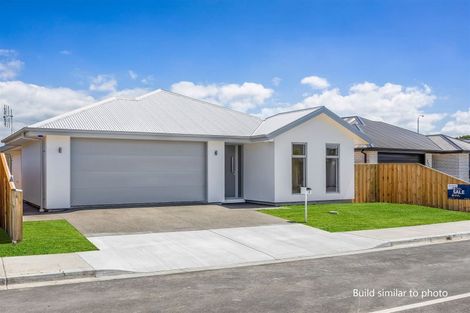 Photo of property in 3 Borland Street, Woodend, 7610