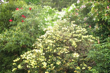 Photo of property in 8 Fergusson Street, Geraldine, 7930