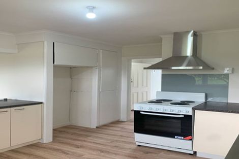 Photo of property in 223 Wright Road, Waiau Pa, Pukekohe, 2679