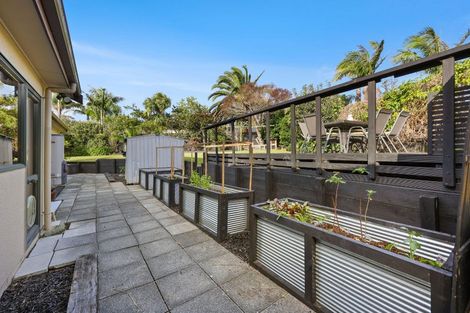 Photo of property in 40 Burnaston Court, Dannemora, Auckland, 2016