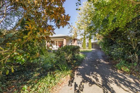 Photo of property in 32 Tollemache Road East, Longlands, Hastings, 4122