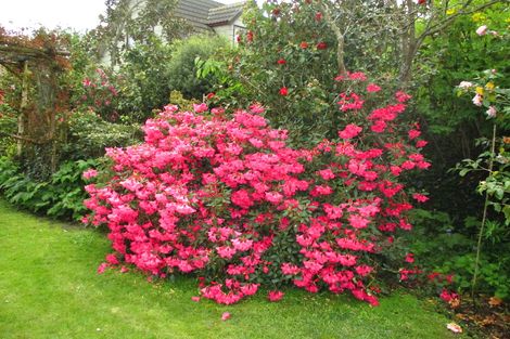 Photo of property in 8 Fergusson Street, Geraldine, 7930