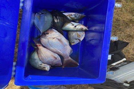 Photo of property in 5 Te Karaka Key, Waiotahe, Opotiki, 3198