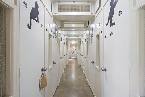 Photo of property in 52 Church Street, Oxford, 7430