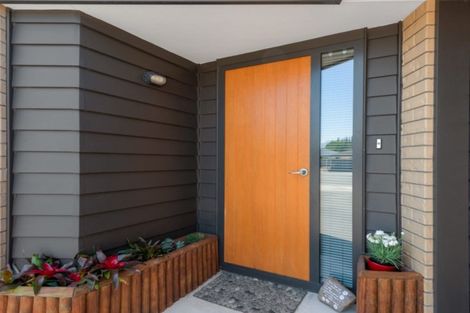 Photo of property in 11 Olwyn Place, Blenheim, 7201