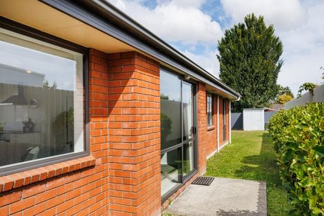 Photo of property in 53b Port Street West, Feilding, 4702