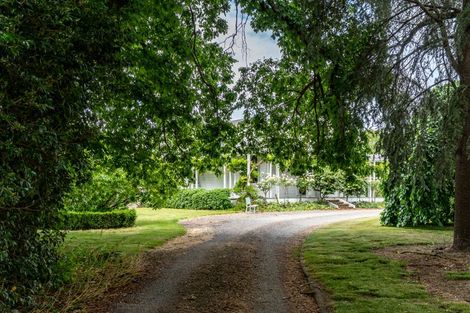 Photo of property in 231 Masterton Castlepoint Road, Te Ore Ore, Masterton, 5886