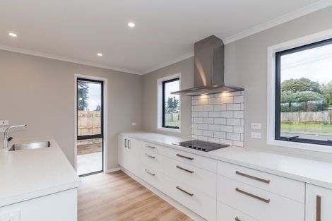 Photo of property in 93 Fairfield Road, Levin, 5510