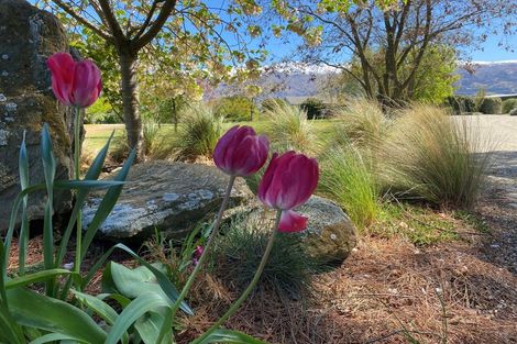 Photo of property in 599 Loop Road, Bendigo, Cromwell, 9383