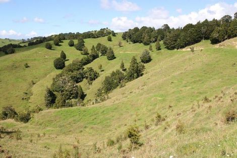 Photo of property in 109 Paponga Road, Broadwood, Kohukohu, 0491