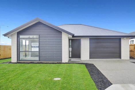 Photo of property in 13 Quinn Crescent, Woodend, 7610