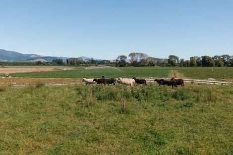 Photo of property in 111a Muhunoa Road West, Ohau, 5570