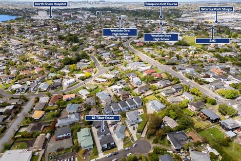 Photo of property in 12a Tiber Road, Forrest Hill, Auckland, 0620