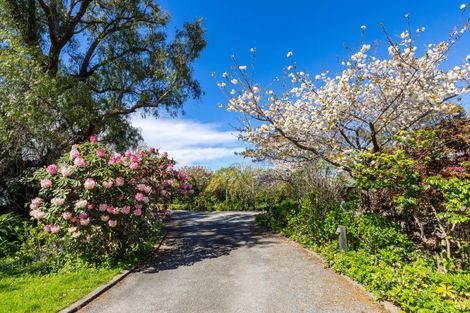 Photo of property in 92 Pauls Road, Rapaura, Blenheim, 7273