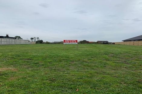 Photo of property in 51 Roy Hilton Drive, Flagstaff, Hamilton, 3210