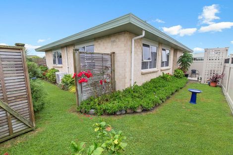 Photo of property in 61 Winchester Street, Levin, 5510