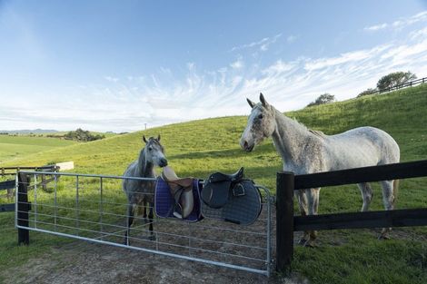 Photo of property in 54b Harambee Road, Taiharuru, Parua Bay, 0192