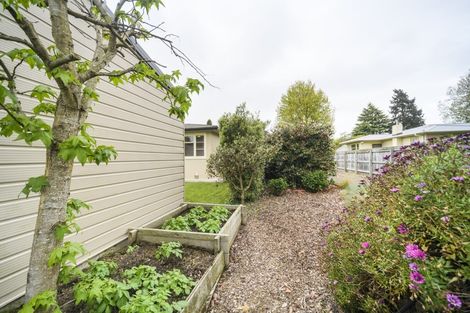 Photo of property in 490 College Street, Hokowhitu, Palmerston North, 4410