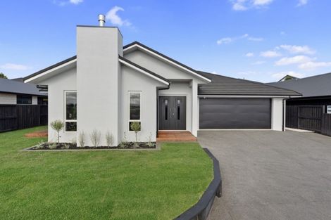 Photo of property in 10 Rose Berry Crescent, Flagstaff, Hamilton, 3210