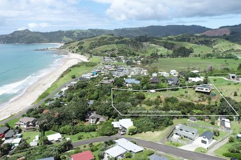 Photo of property in 28 Gray Avenue, Kuaotunu West, Whitianga, 3592