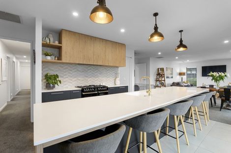 Photo of property in 19 Rothwell Drive, Rolleston, 7615