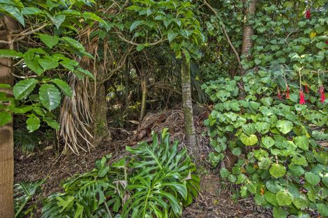 Photo of property in 48 Scott Road, Tamaterau, Whangarei, 0174