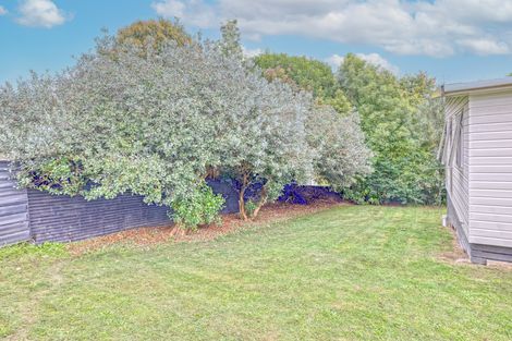 Photo of property in 122a Goodfellow Street, Te Awamutu, 3800