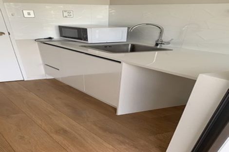 Photo of property in 24 Puoro Street, Flat Bush, Auckland, 2019