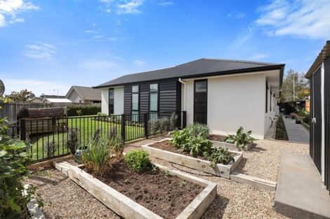 Photo of property in 9 Golf Course Road, Morrinsville, 3300