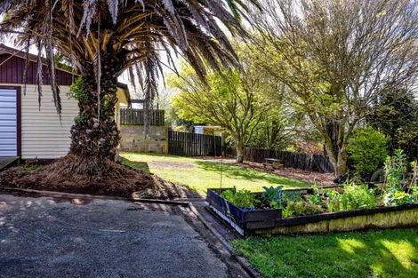 Photo of property in 5 Ulysses Street, Stratford, 4332