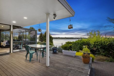 Photo of property in 117 Haukore Street, Hairini, Tauranga, 3112