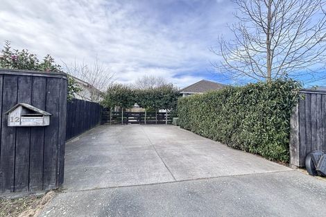 Photo of property in 12 Roosevelt Avenue, St Albans, Christchurch, 8014