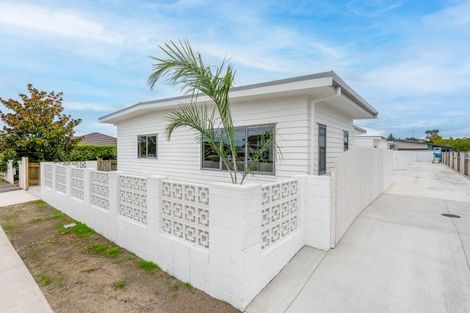 Photo of property in 102a Auckland Road, Greenmeadows, Napier, 4112