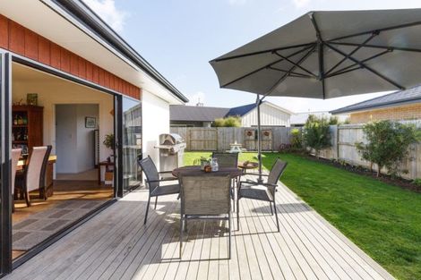 Photo of property in 48 Totara Road, Awapuni, Palmerston North, 4412