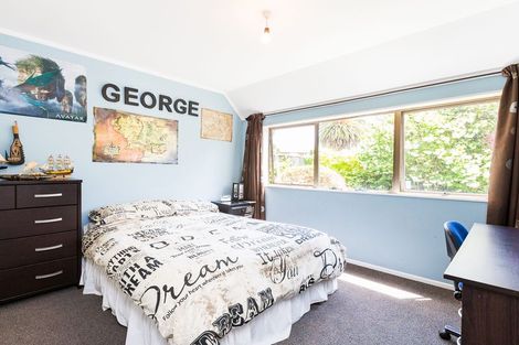 Photo of property in 570 Featherston Street, Roslyn, Palmerston North, 4414